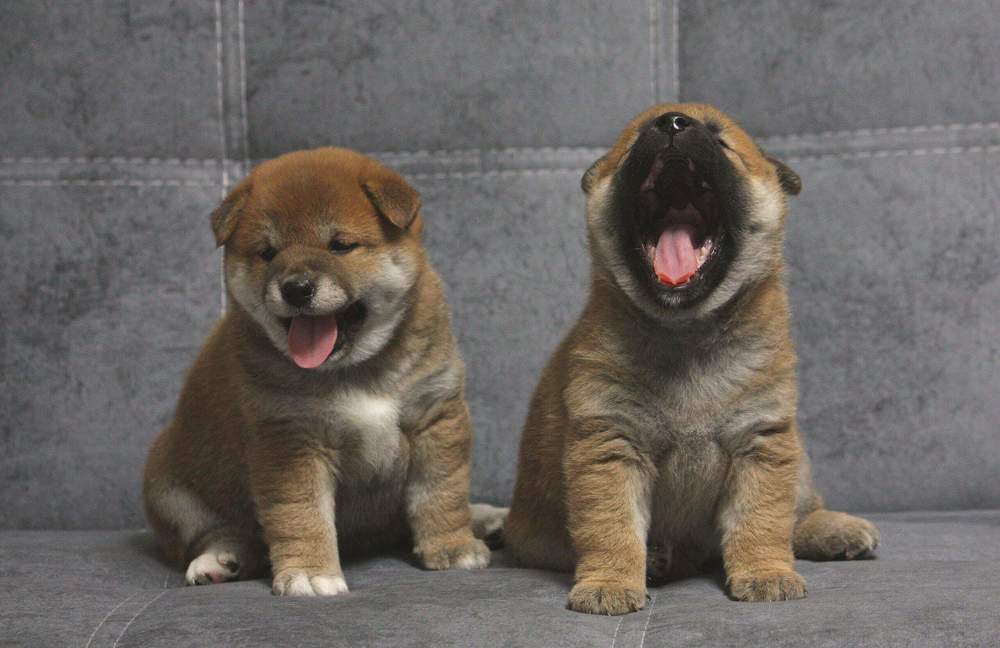 Photograph by Титова Наталья