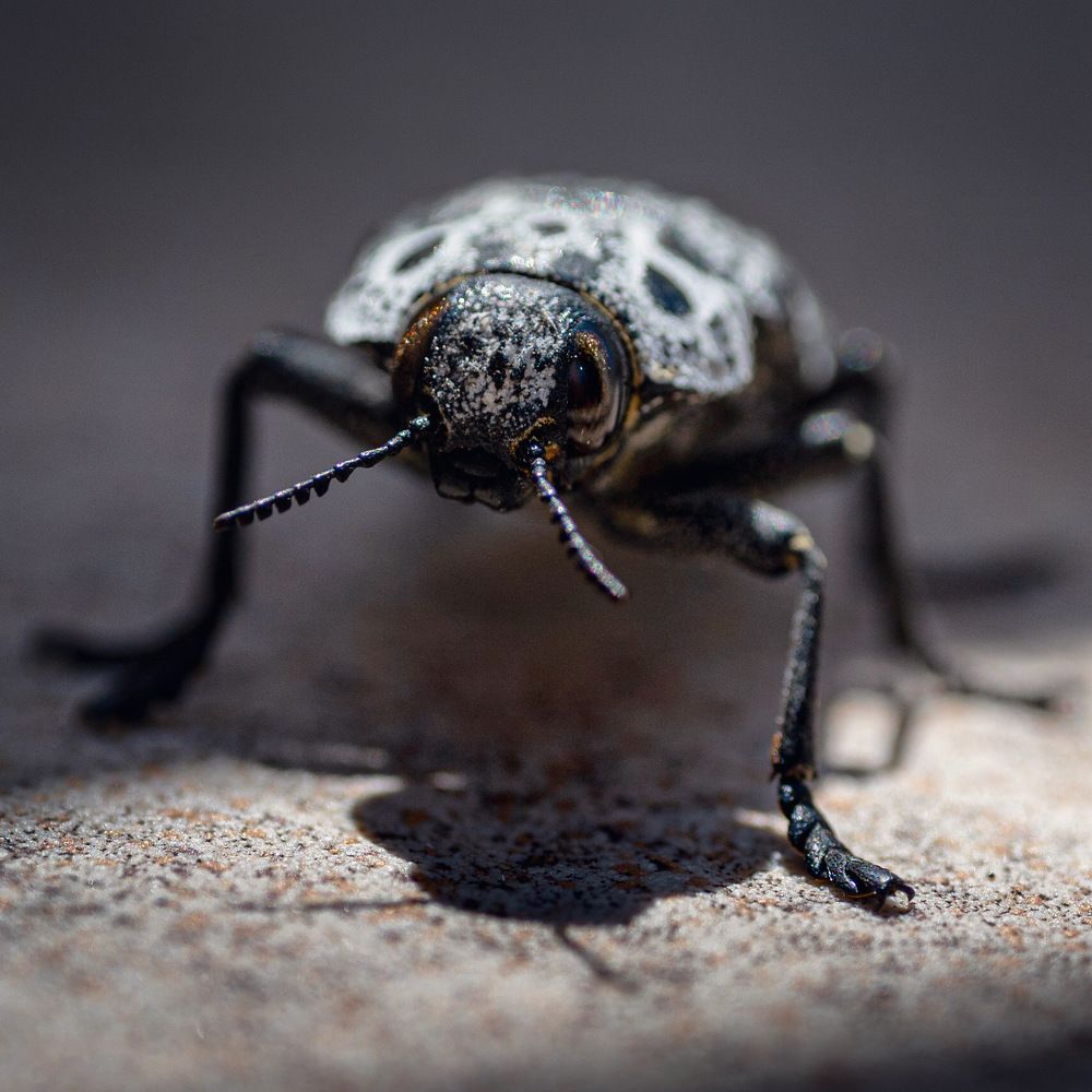 Photograph by Анна Стрелковская