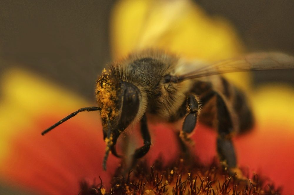 Photograph by Ирина