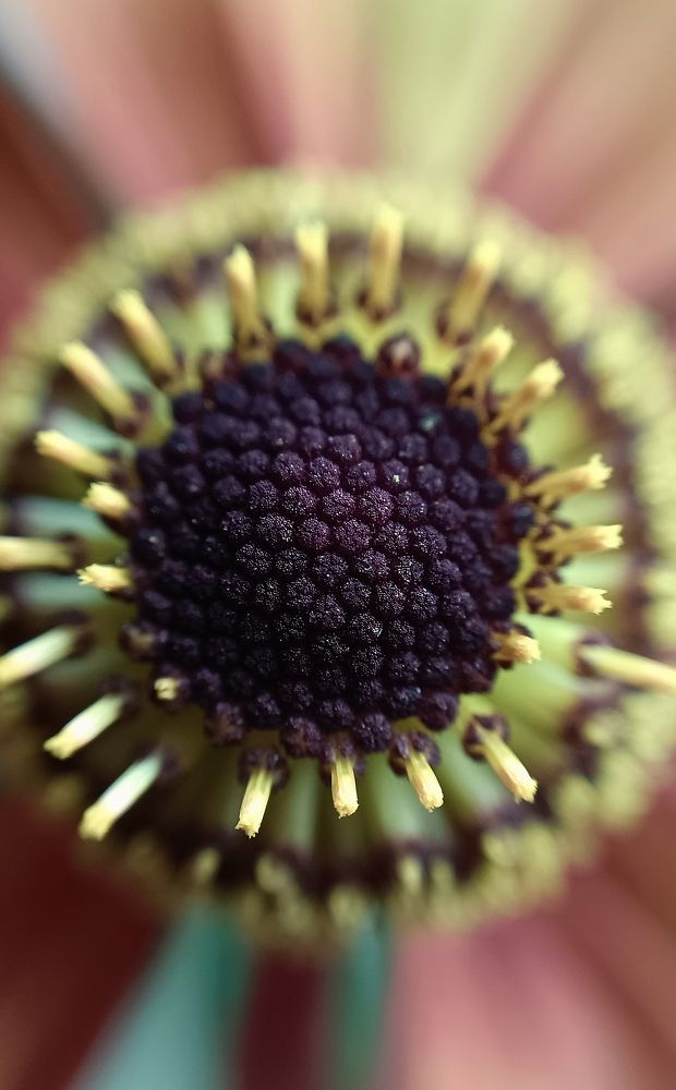 Photograph by Наталья Шумилова