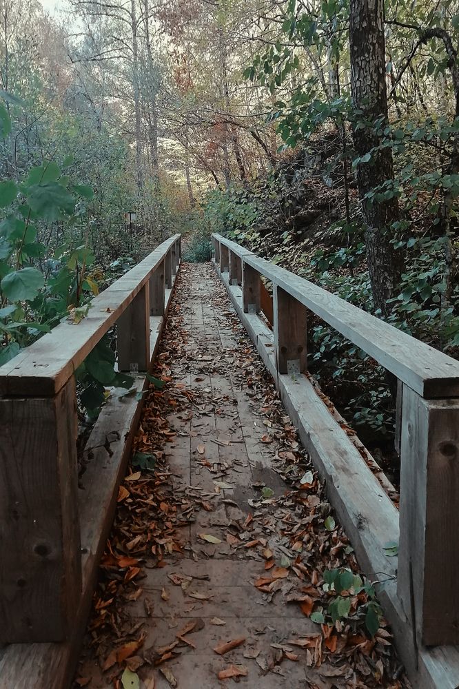 мост через балку Черную