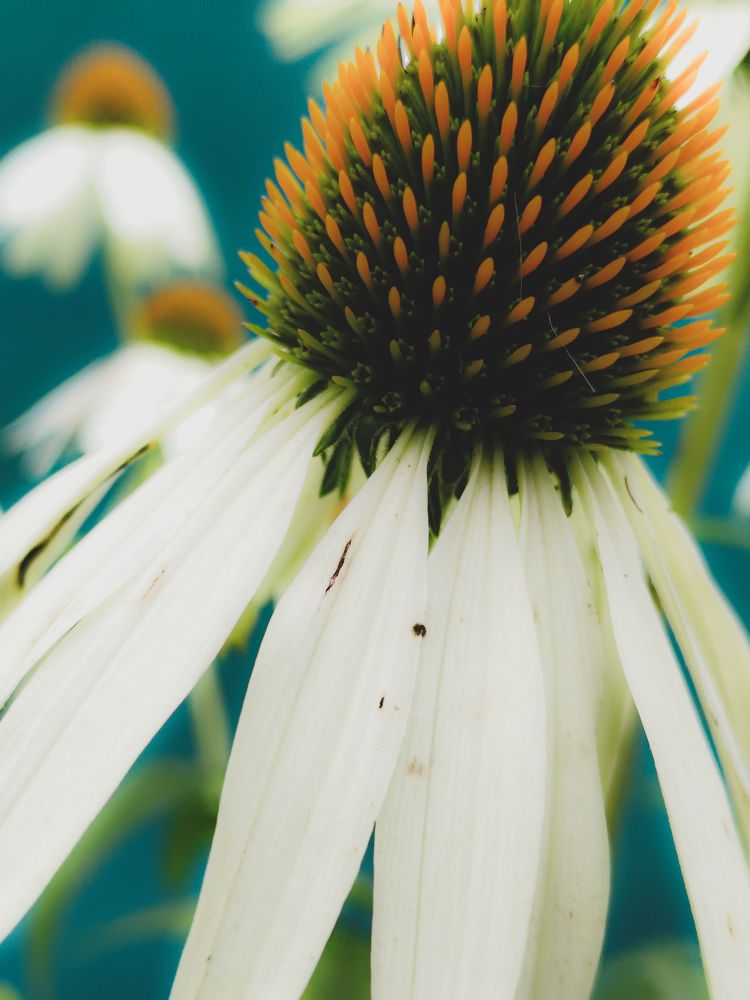 Photograph by Наталья Веряскина