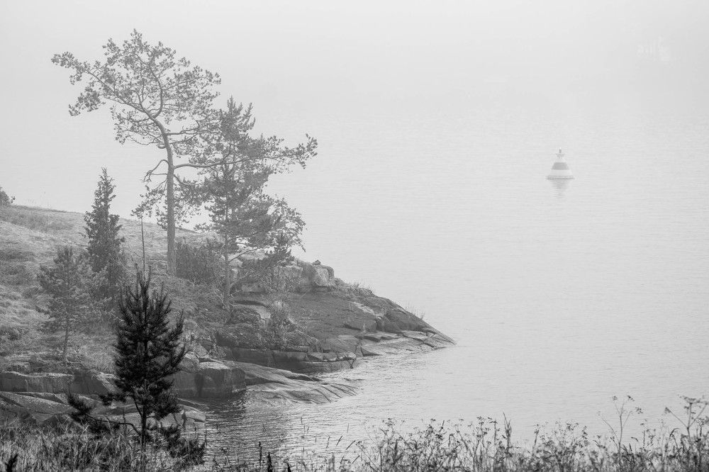 Photograph by Галина Андреева