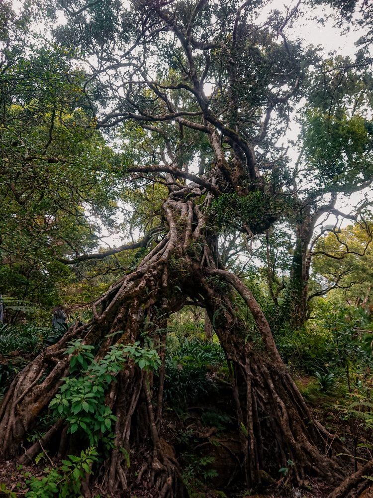 Photograph by M.Maleesha Sathsara Perera