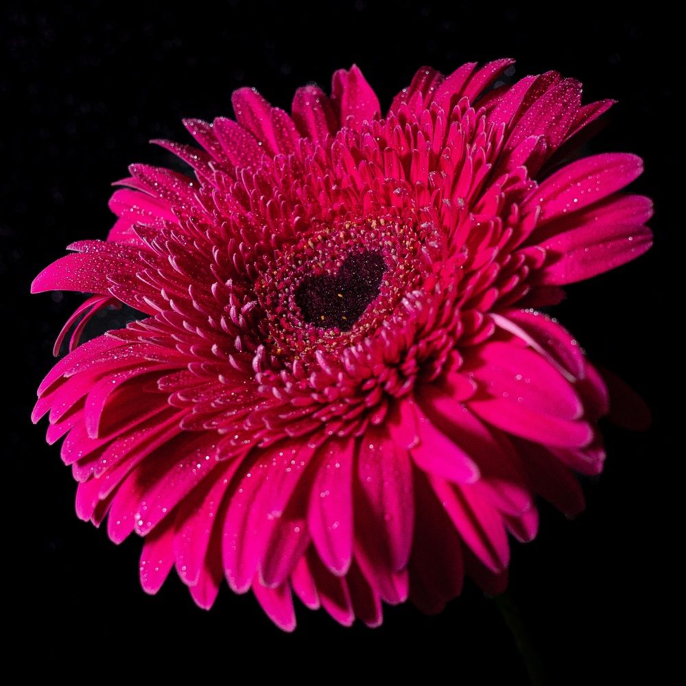 Photograph by T.Ю. Гринько