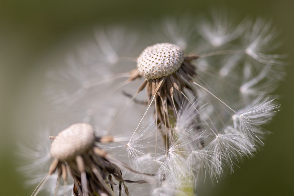 Photograph by Пономарев Илья