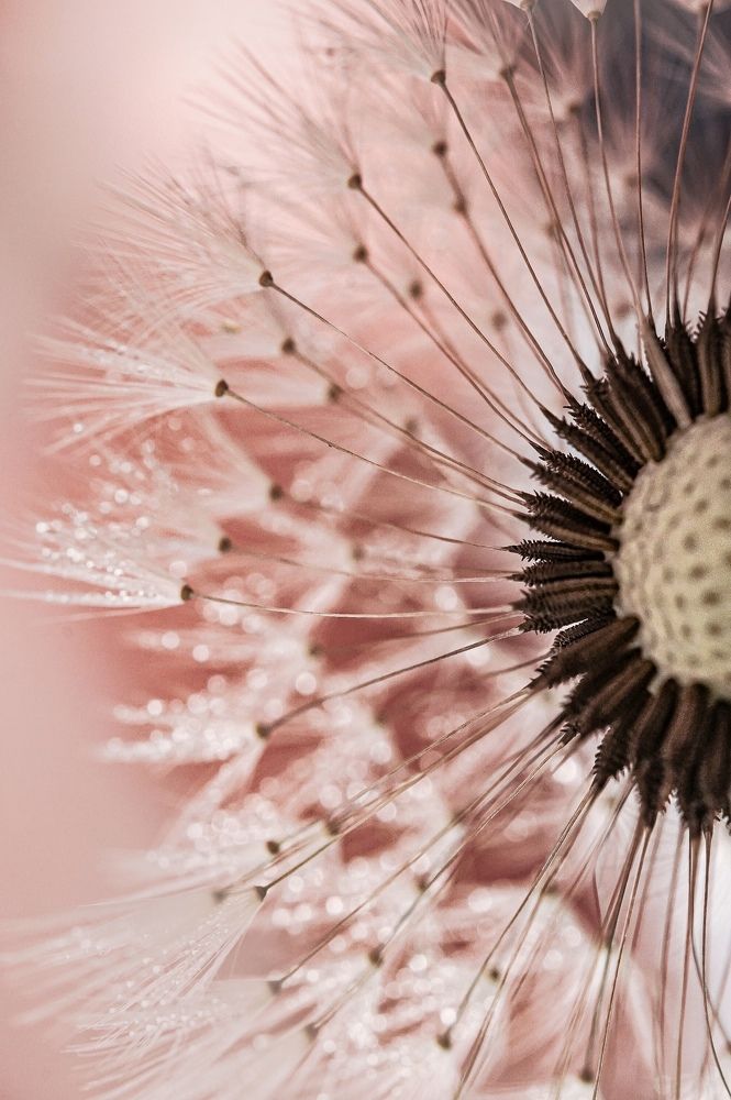 Photograph by Tatiana Grinko