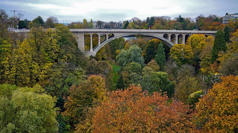Bridge over autumn