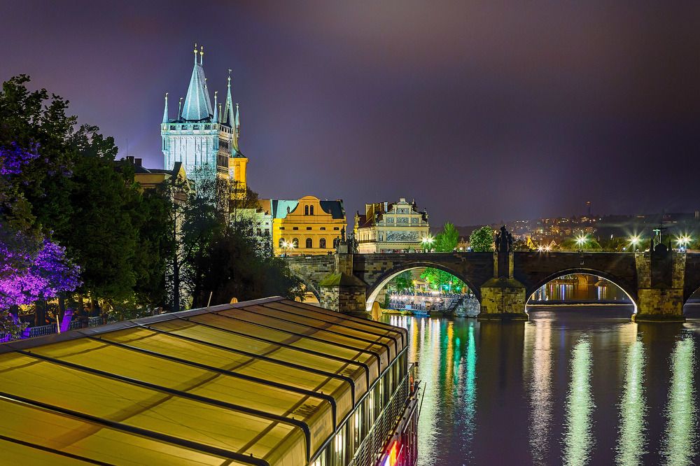 Фотография автора Totoro