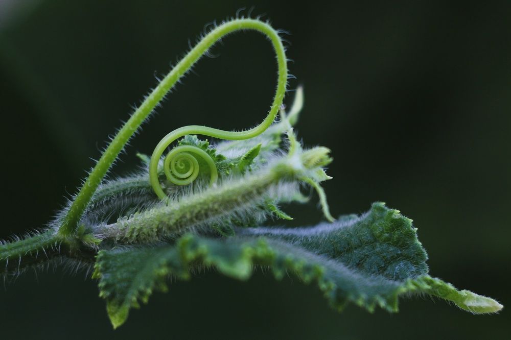 Photograph by Оксана Ботвина