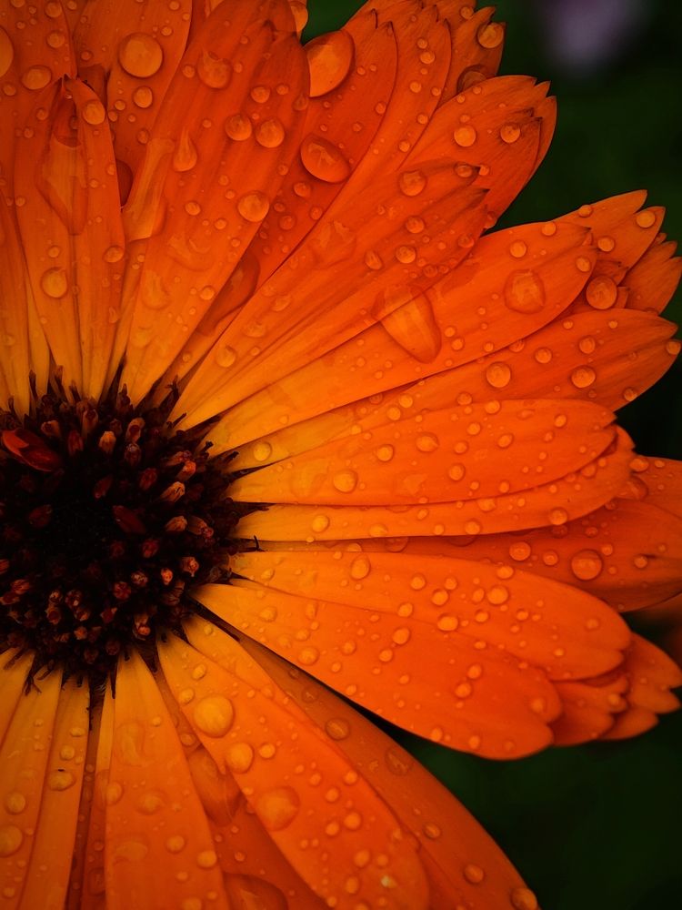 Photograph by Надежда Кангина