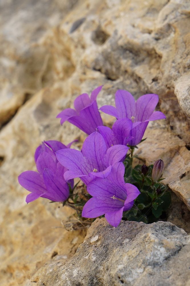 Photograph by Игорь Семеновский