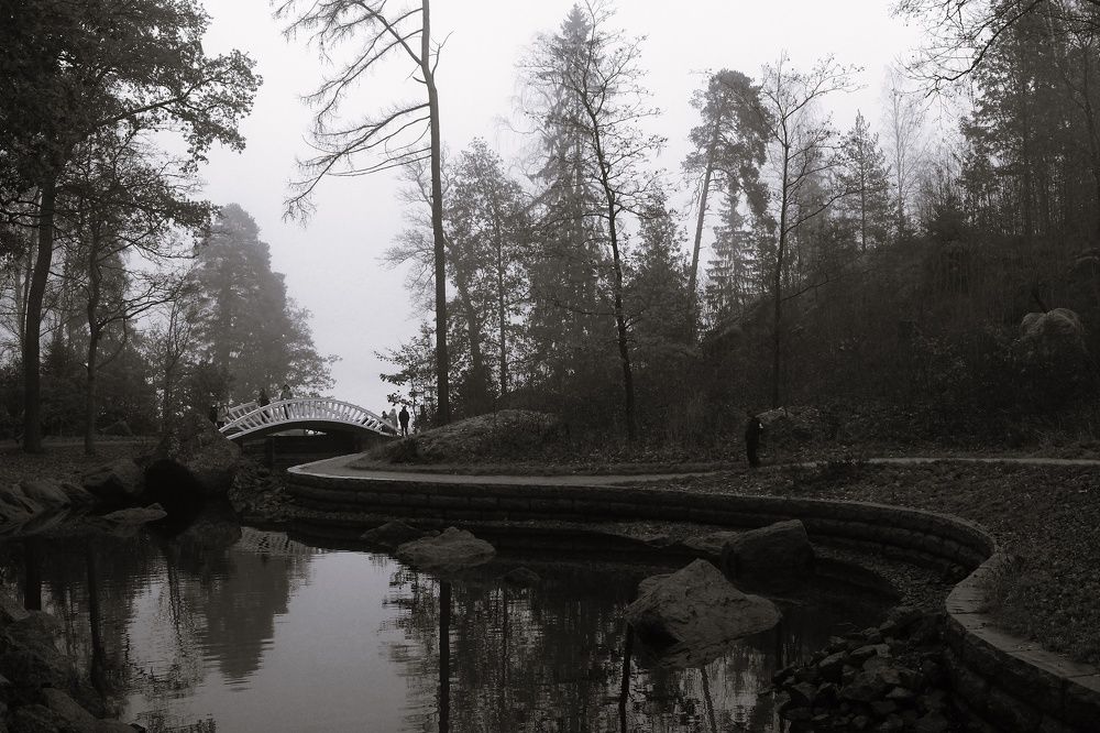 Photograph by Оксана Ботвина