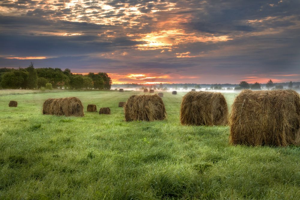 Фотография автора Сережин Сережа