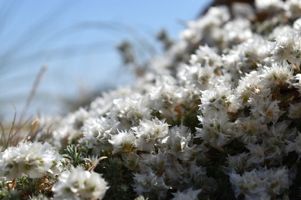 Photograph by Анна Стрельченко