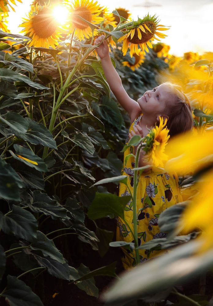 Photograph by Алëна Проскурякова