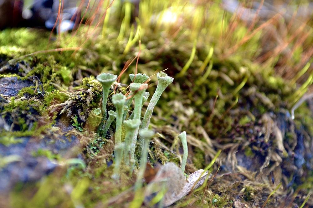 Photograph by Юлия Орлова