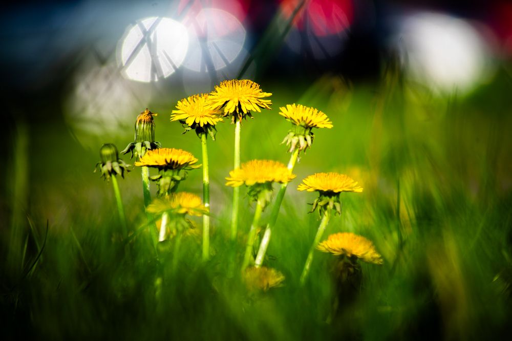 Photograph by Дима Захаров