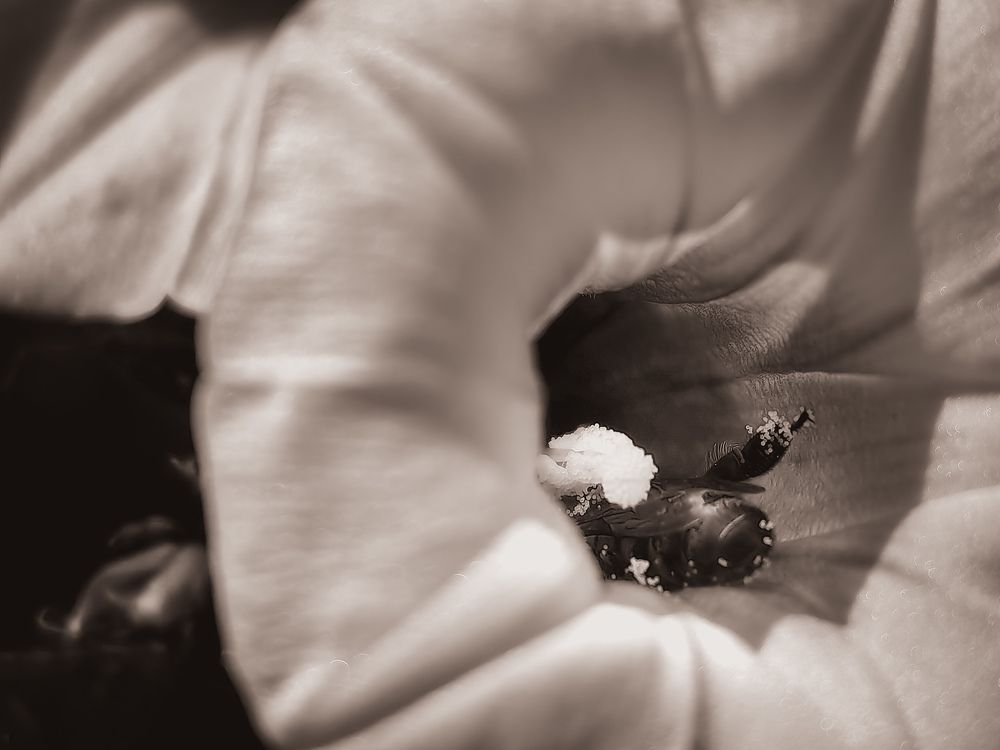 Photograph by Ivan Avitia