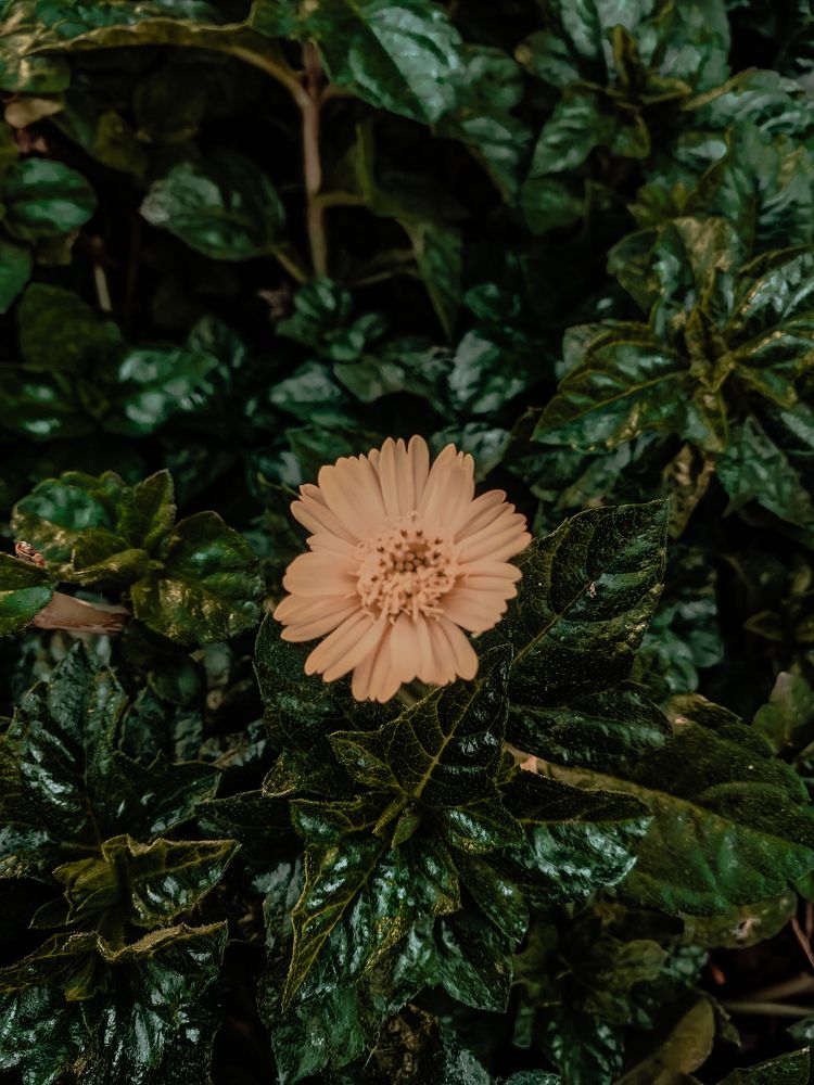 Photograph by Ivan Avitia