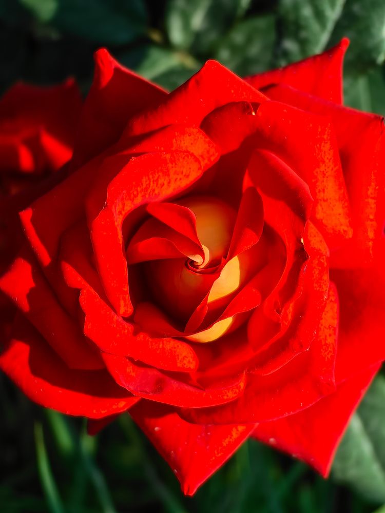 Photograph by Сергей Игнатьев