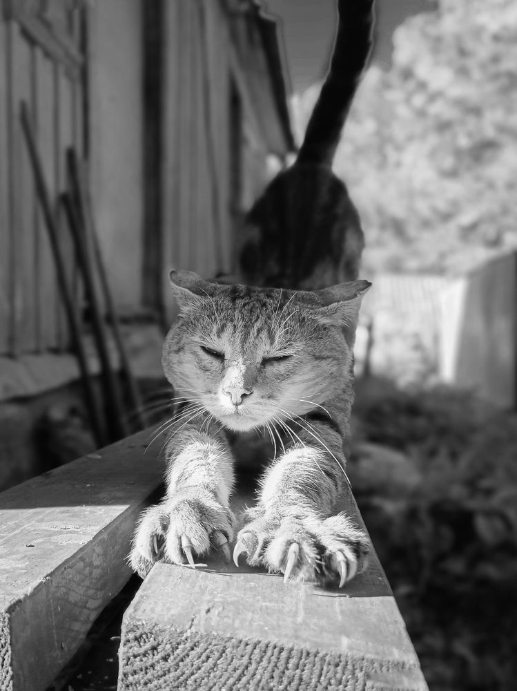 Photograph by Кондрашова Светлана