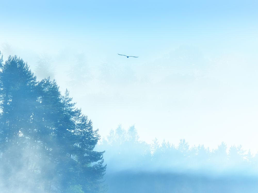 Photograph by Кирилл Лебедев