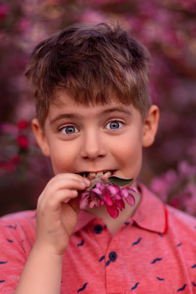 Фотография автора  Анастасия