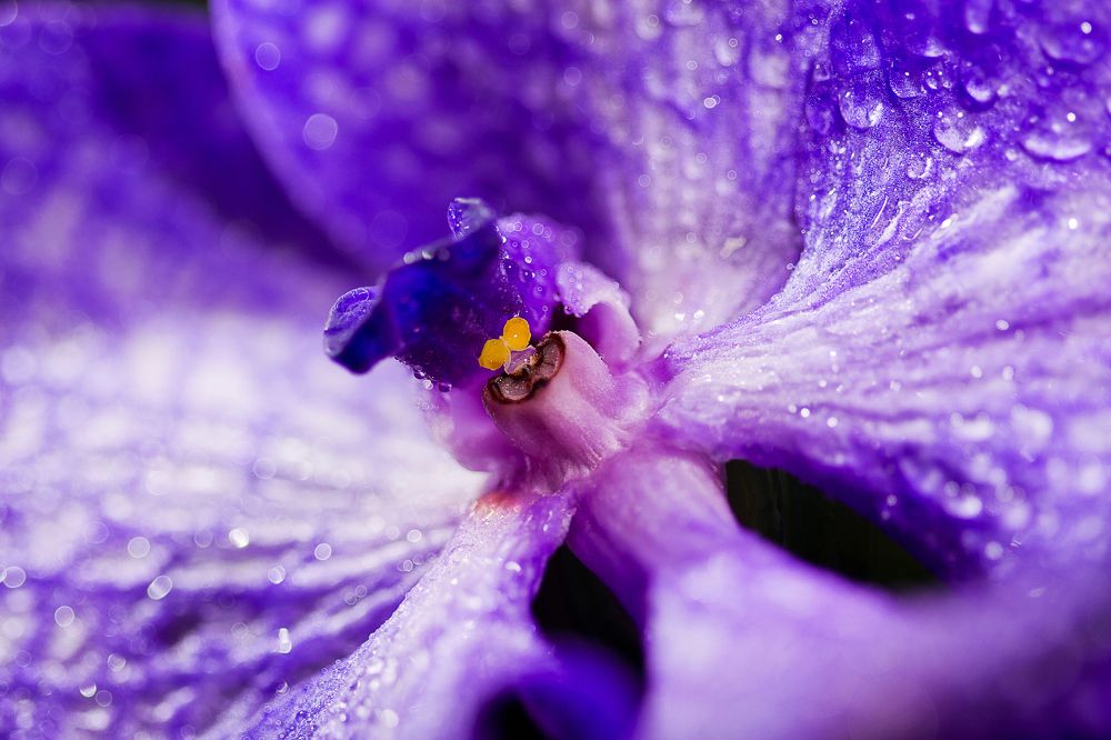 Photograph by Aleksei Kazakov