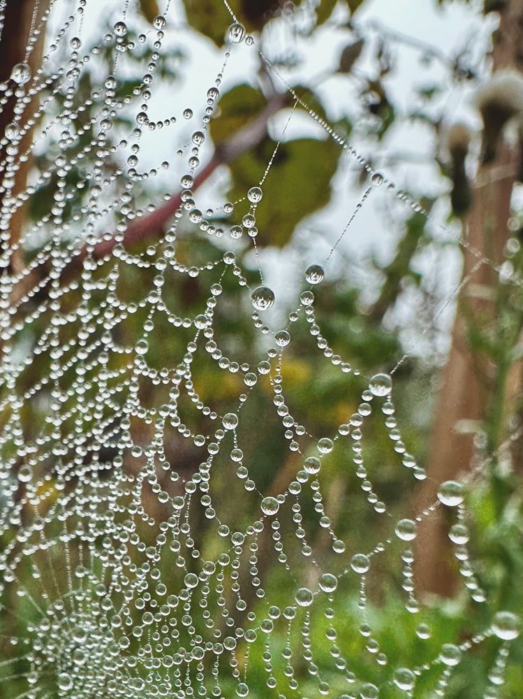 Photograph by Ольга Галкина