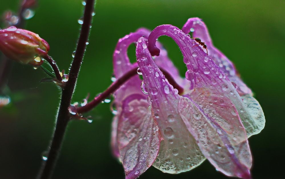 Photograph by Анатолий Святой