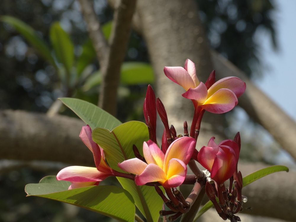 Photograph by Виктор Бута