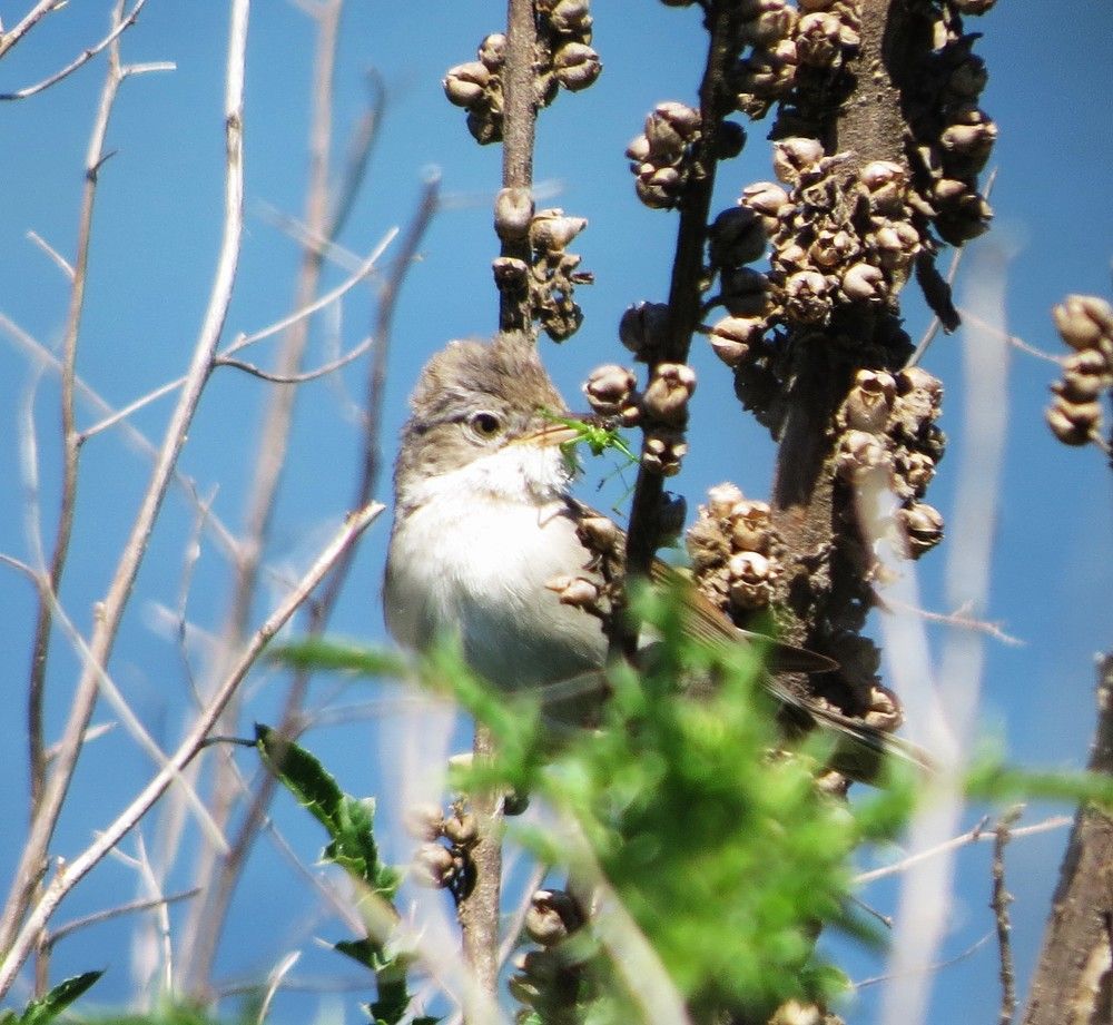 Photograph by Лариса Басова