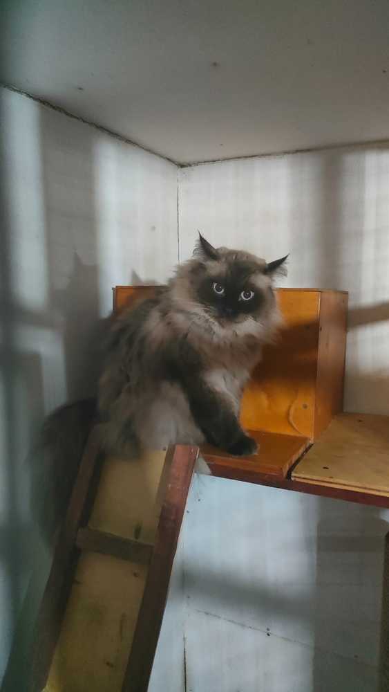 Фотография автора Марина Карасева
