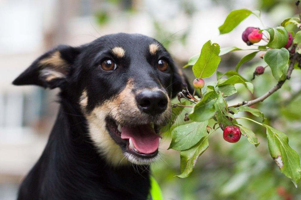 Photograph by Natasha Stugireva