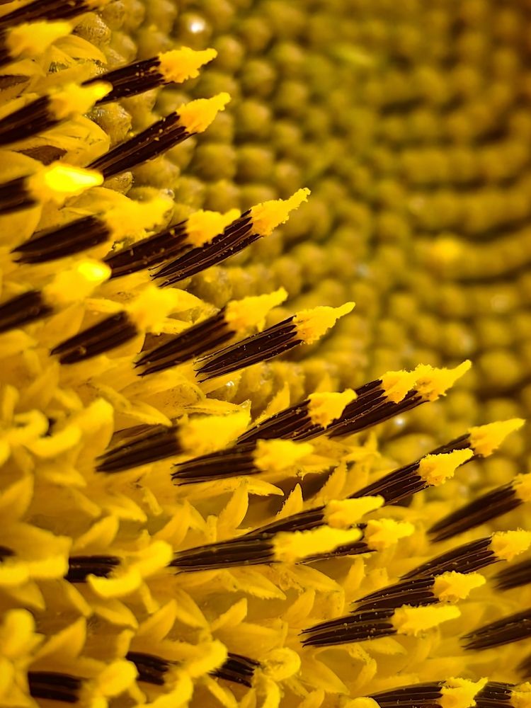 Photograph by Игорь Сапронов