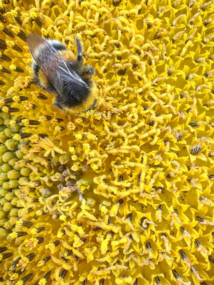 Photograph by Игорь Сапронов