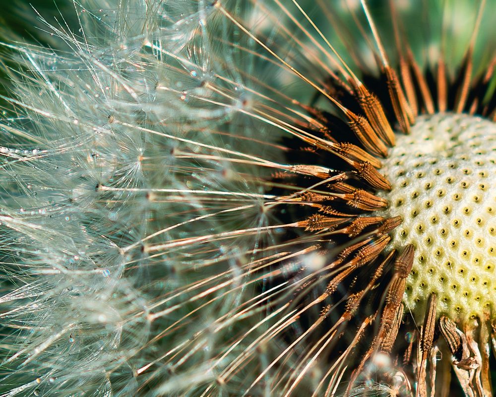 Photograph by Сергей Жиркевич