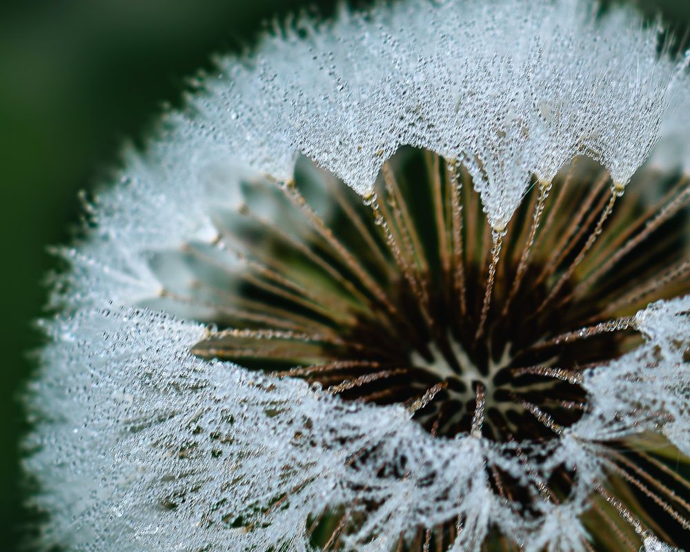 Photograph by Сергей Жиркевич