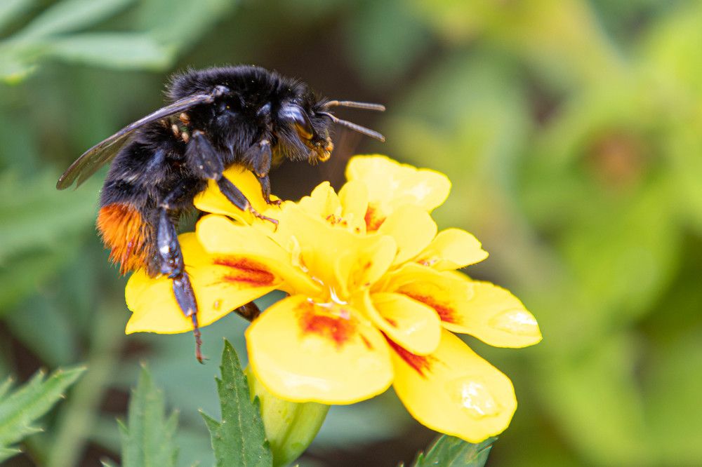 Фотография автора ВЯЧЕСЛАВ