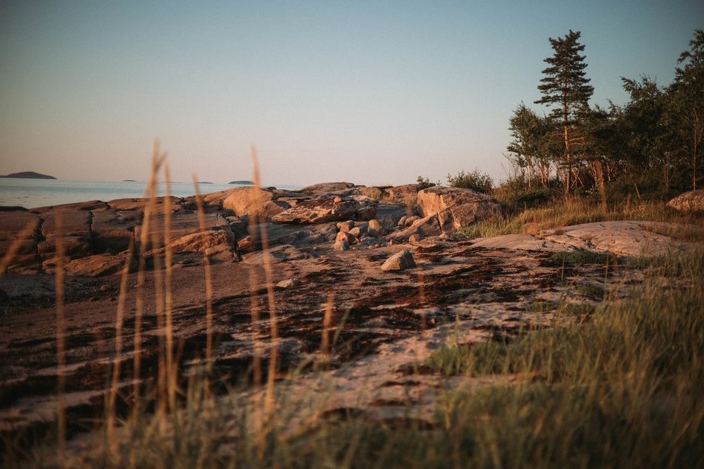 Photograph by Ирина Легкая