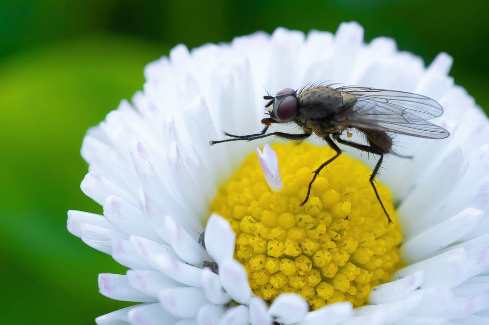 Фотография автора ВЯЧЕСЛАВ