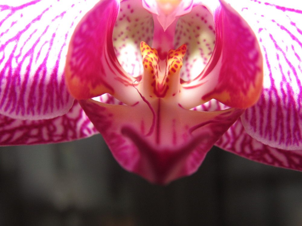 Photograph by Juliana