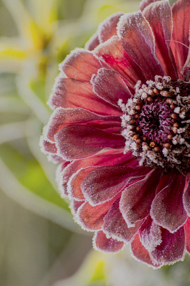 Photograph by Елена Кошелева