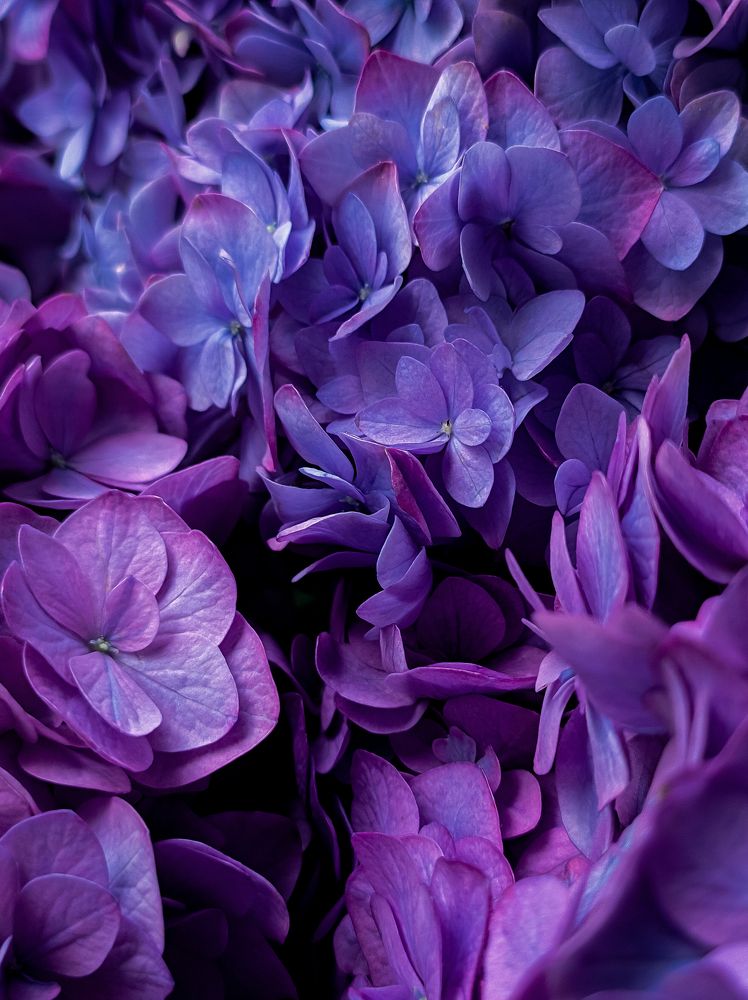 Photograph by Сергей Миронов