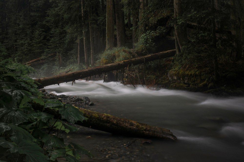 Photograph by Михаил Славный