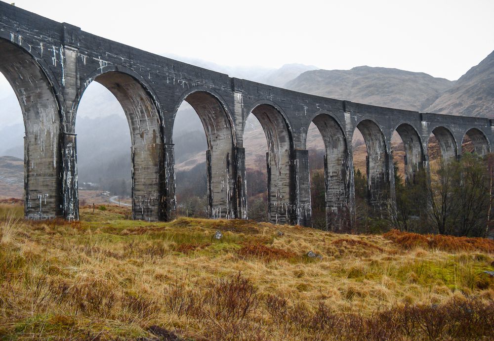 Photograph by Максим Жухлистов