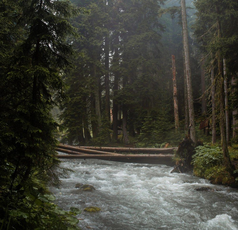 Photograph by Михаил Славный