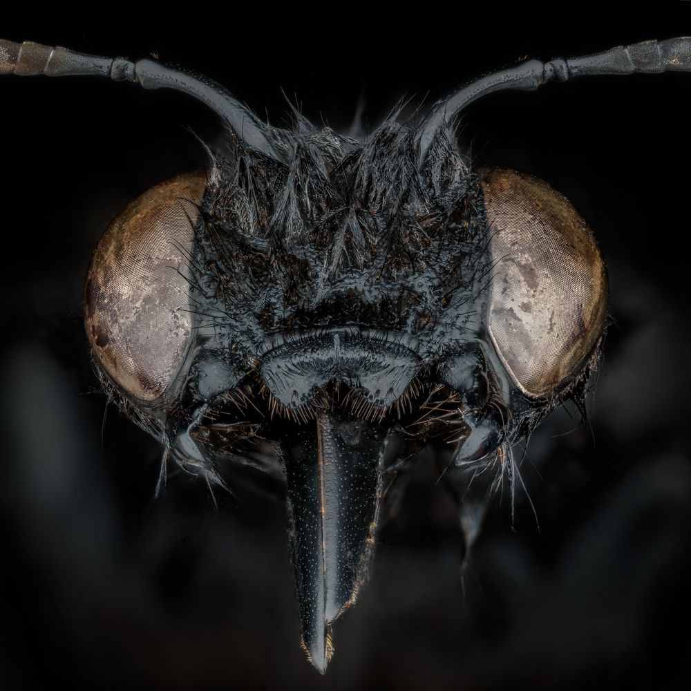 Фотография автора Jose CO