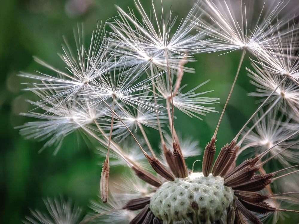 Photograph by Сергей Миронов